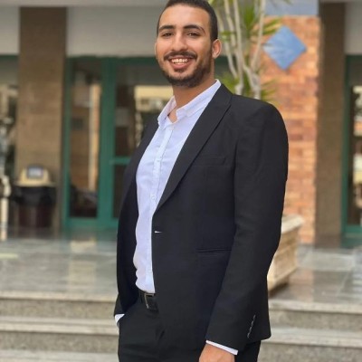 محمد محسن حمدي